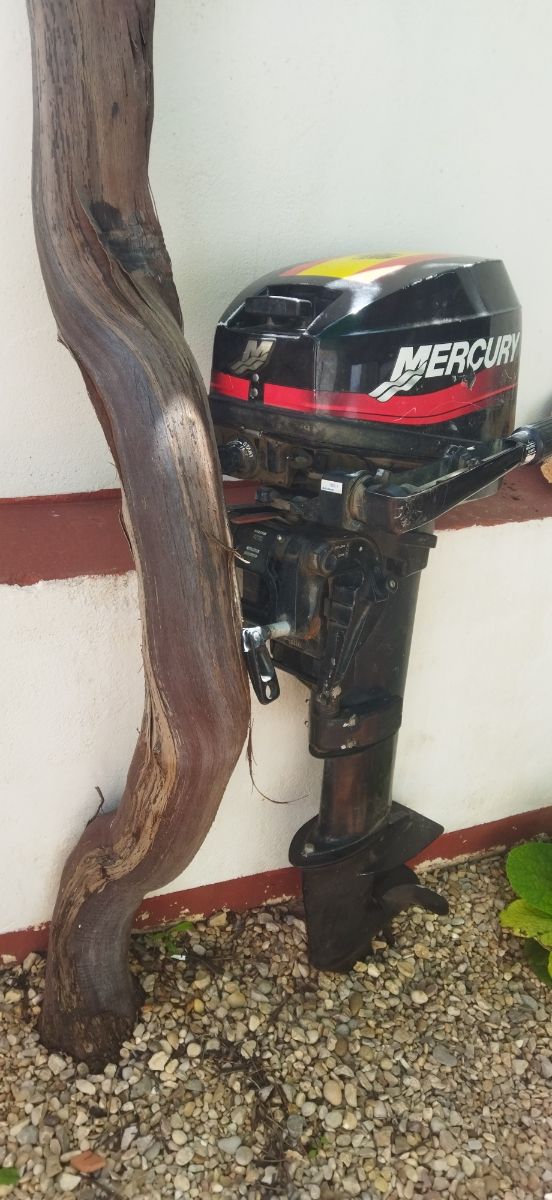 Motor fueraborda Mercury 13.5 CV