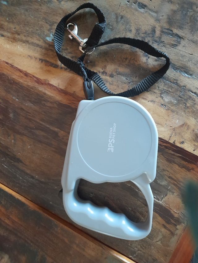 collare pettorina guinzaglio