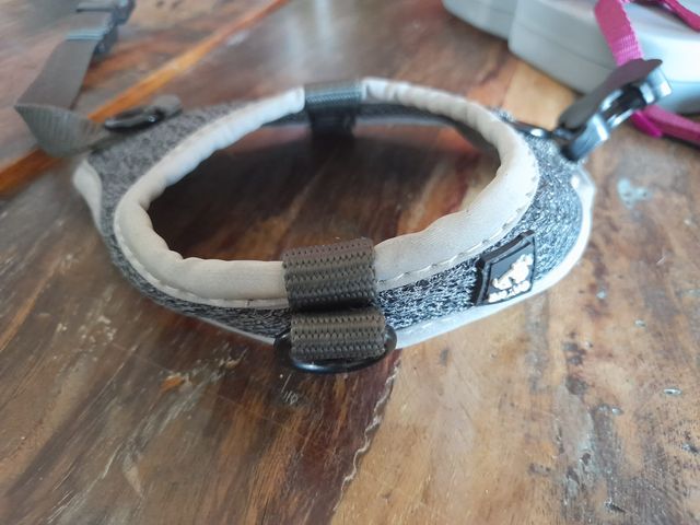 collare pettorina guinzaglio