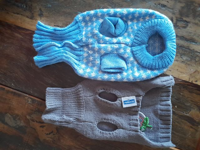 maglioncini cucciolo cane