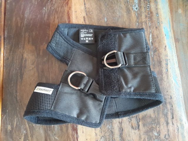 3 pettorine x cagnolino