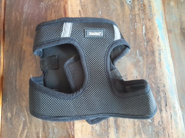 3 pettorine x cagnolino