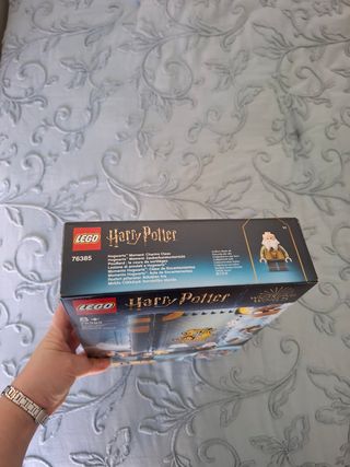 Lego Harry Potter 76385 - Lezioni Incantesimi