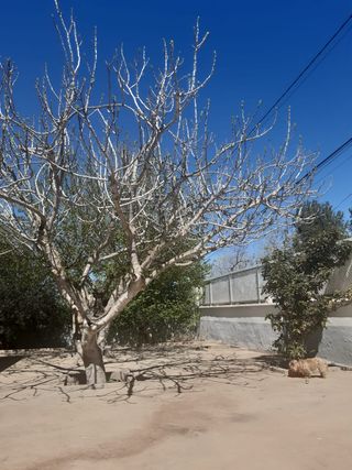 Chalet en Villafranca de los Caballeros
