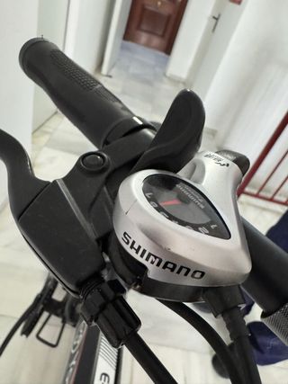 Bicicleta eléctrica Youin RD05