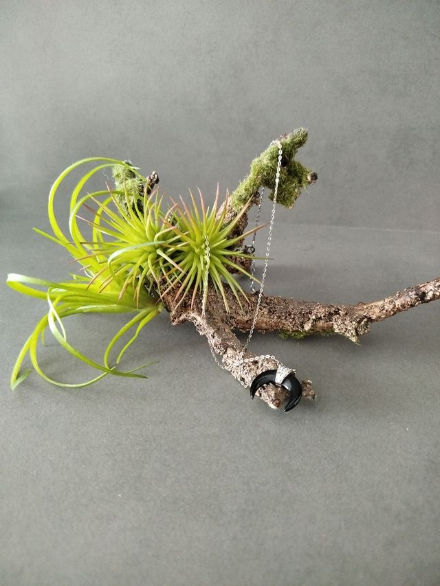 Collar medialuna negra plata