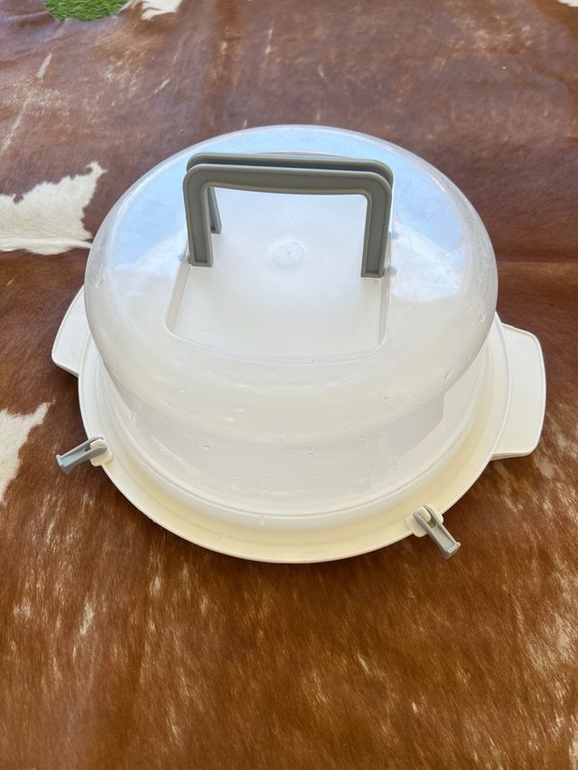 Tartera plástica - 30x15cm guarda postres seguros