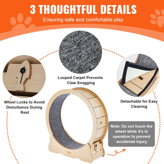 Ruota per Esercizi per Gatti, Ruota per Tapis Roul