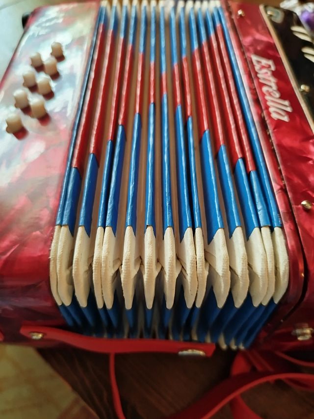 Pequeno acordeão vermelho