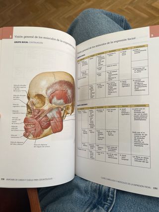 Netter Anatomia Cabeza y Cuello para odontólogos