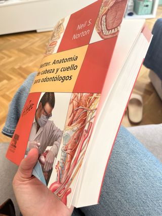 Netter Anatomia Cabeza y Cuello para odontólogos