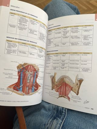 Netter Anatomia Cabeza y Cuello para odontólogos