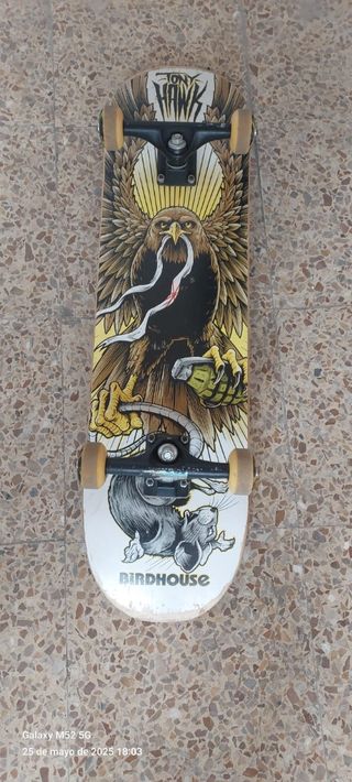 Skate Tony Hawk Birdhouse