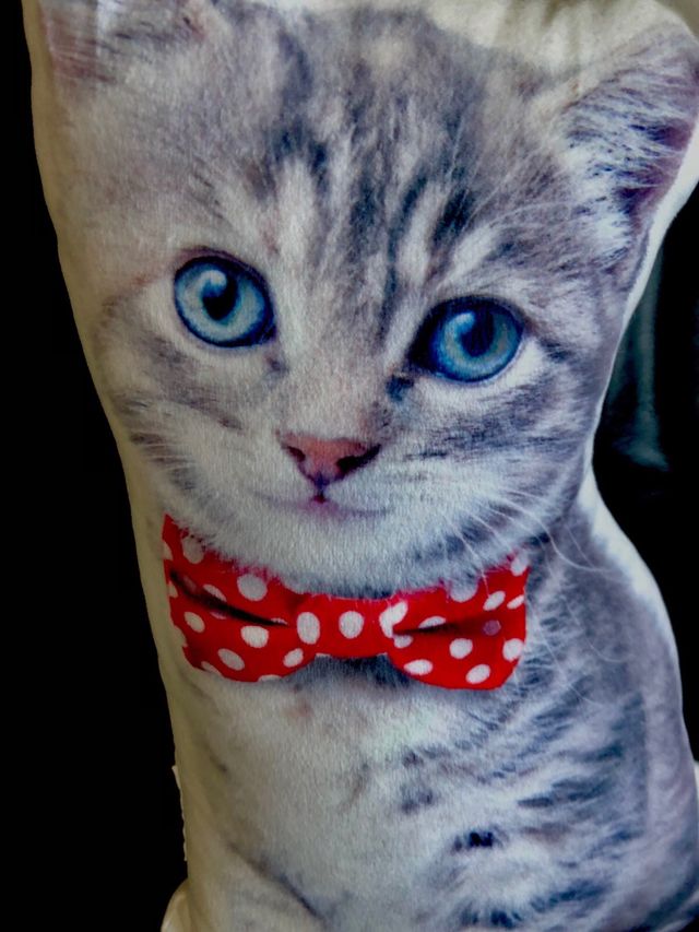 Cojín gato con pajarita