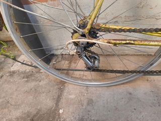 Bicicletta ''Pavese Superba'' da Corsa Vintage