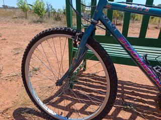 Bicicleta montaña 