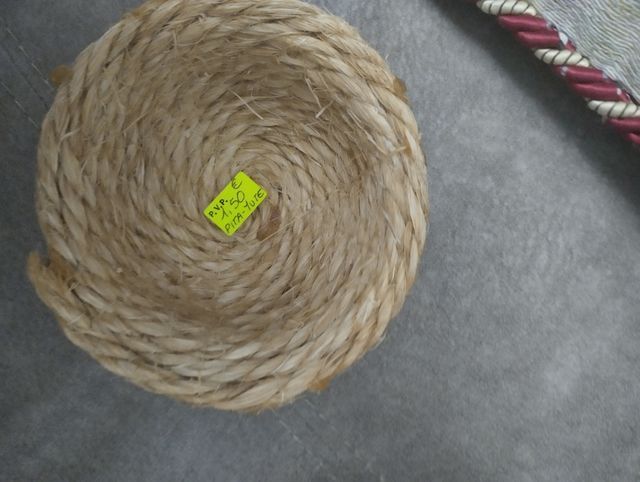 Casa nido + cuatro productos