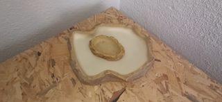 Rebajas navidad! Terrario madera para reptiles más