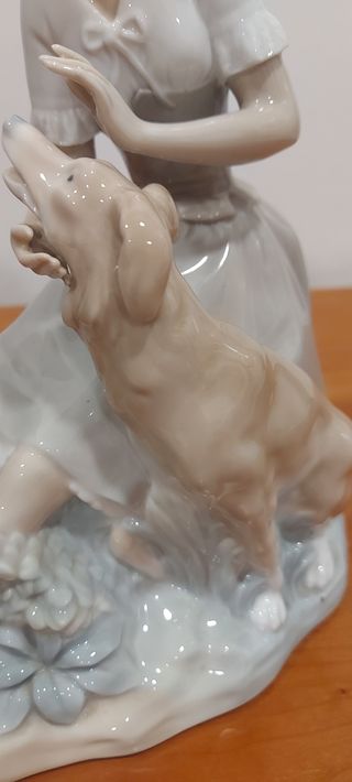 NAO LLADRÓ Dama con perro