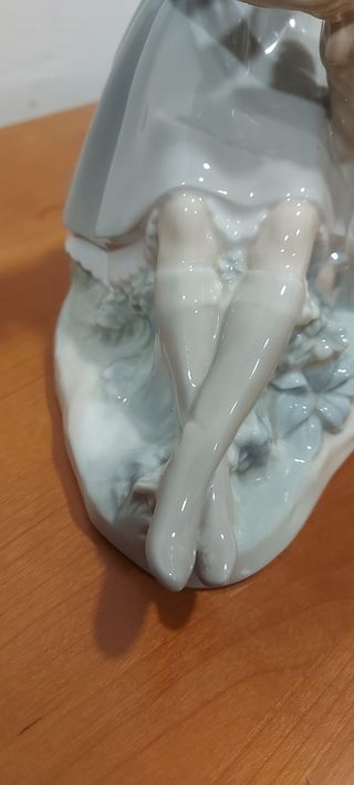 NAO LLADRÓ Dama con perro