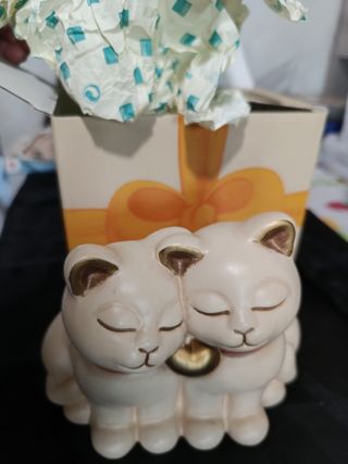 Gatti Thun innamorati