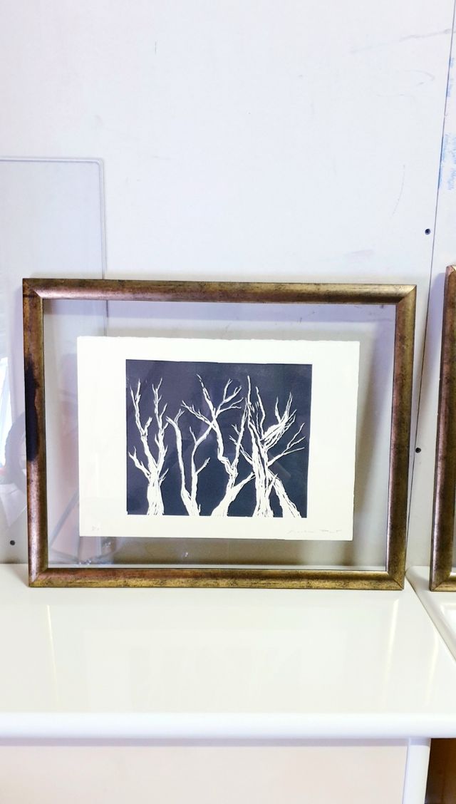 2 CUADROS DOBLE CRISTAL