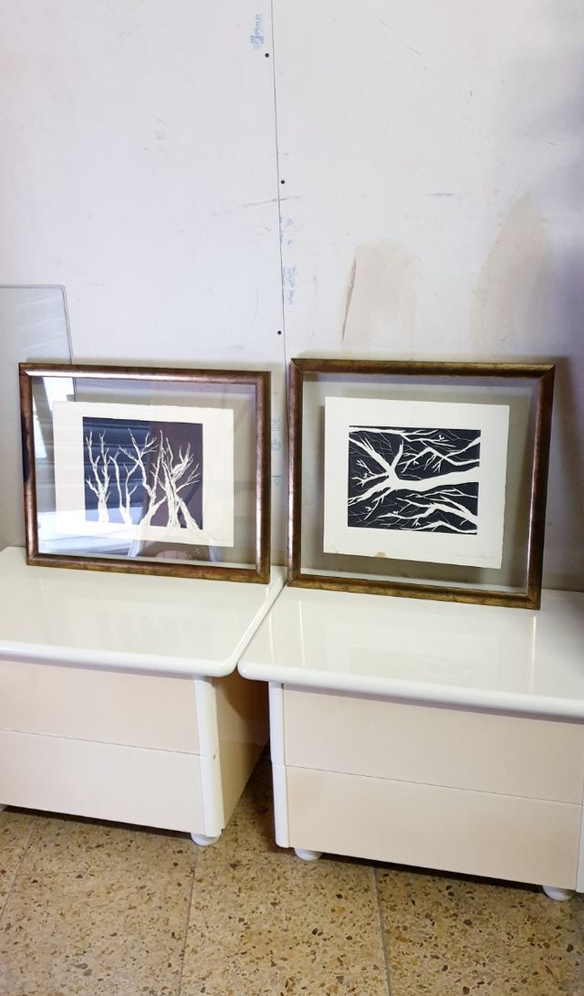 2 CUADROS DOBLE CRISTAL