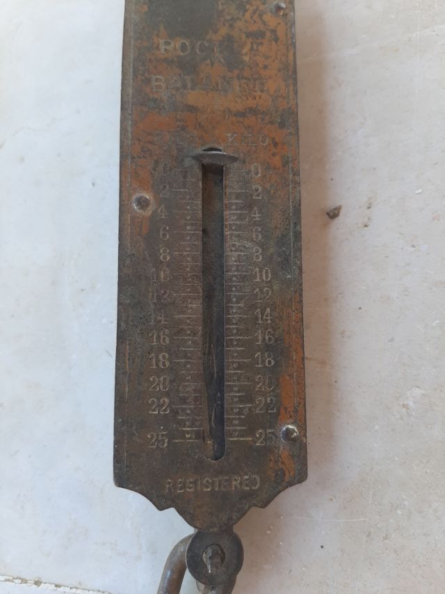 Bilancia pesa-oggetti Pocket