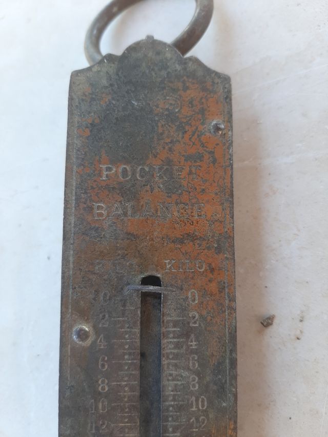 Bilancia pesa-oggetti Pocket