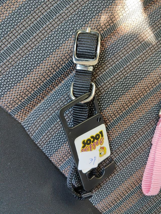 3 collari per animali domestici: rosso, nero e rosa