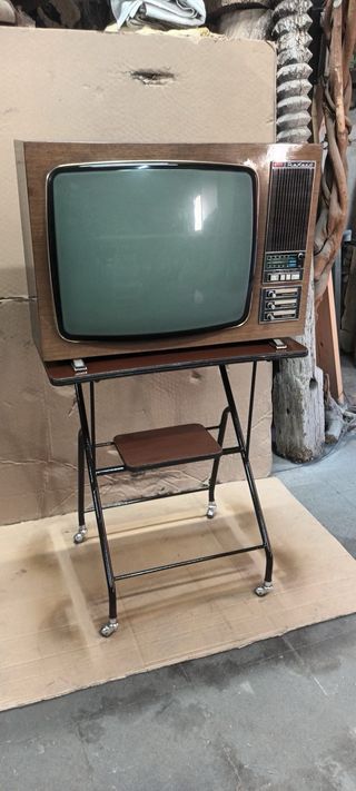 TV Vintage Rekord con mesita