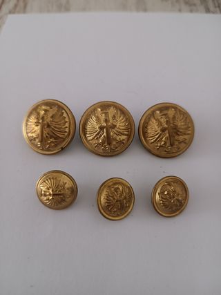Botones militares antiguos (6 unidades)