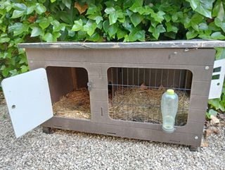 Jaula conejos