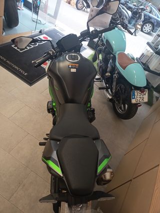 Kawasaki Performance Regiment sugomi Z900 - Moto