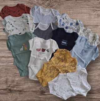 13 bodies (0-3m)