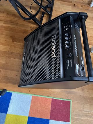 Roland PM-200: Monitor Amplificador
