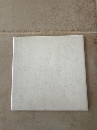Azulejos blancos 20x20 rustico brillo