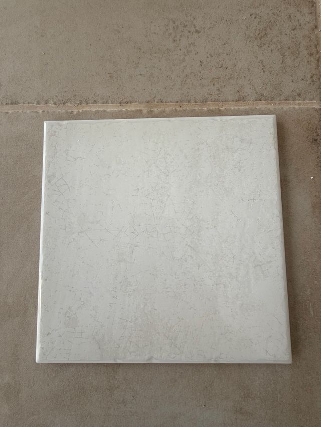 Azulejos blancos 20x20 rustico brillo