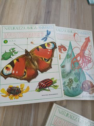 9 libros de Naturaleza amiga/animales