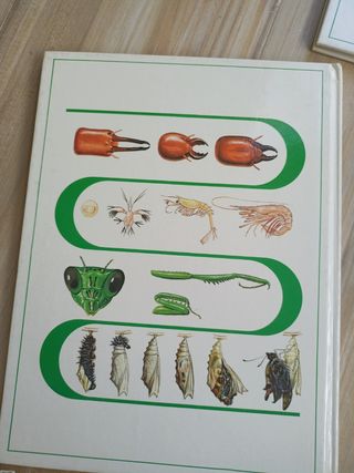 9 libros de Naturaleza amiga/animales