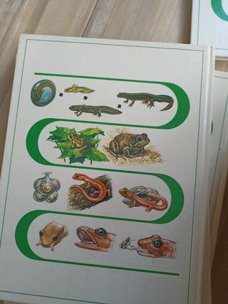 9 libros de Naturaleza amiga/animales