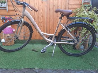 Bicicleta Wolfbike, beige