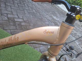 Bicicleta Wolfbike, beige