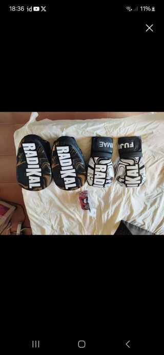 Guantes boxeo Fujimae + protectores