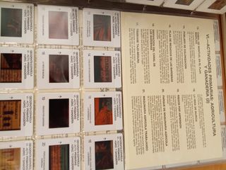 Proyector Cima 500 +   2 libros ciencias sociales 