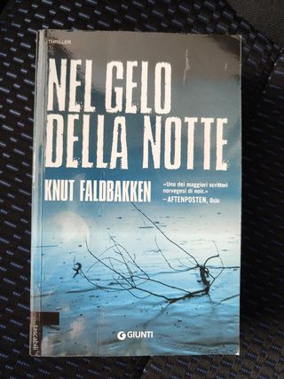 Libro thriller Nel gelo della notte di Knut Faldba