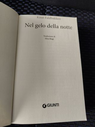 Libro thriller Nel gelo della notte di Knut Faldba