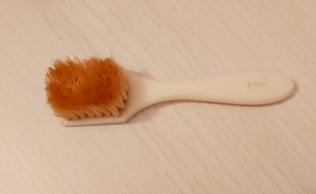 Pennello vintage del Francis Institute