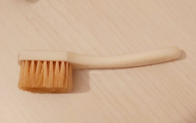 Pennello vintage del Francis Institute