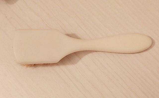 Pennello vintage del Francis Institute